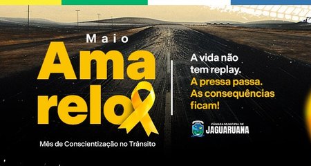 MOBILIDADE HUMANA, RESPONSABILIDADE HUMANA.