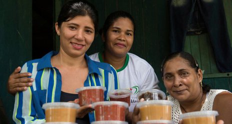 Seminário apresenta resultados das contribuições de atores-chave ao Projeto Floresta+ Amazônia