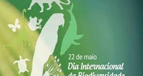 Dia Internacional da Biodiversidade