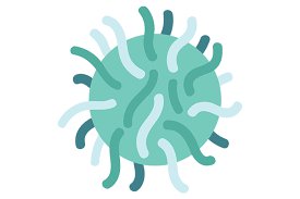 Vai viajar? Descubra como se proteger