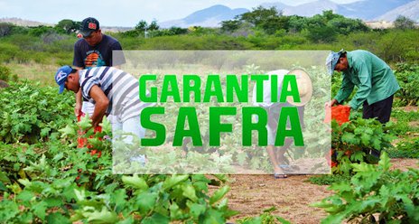 171 municípios assinam adesão ao Garantia Safra