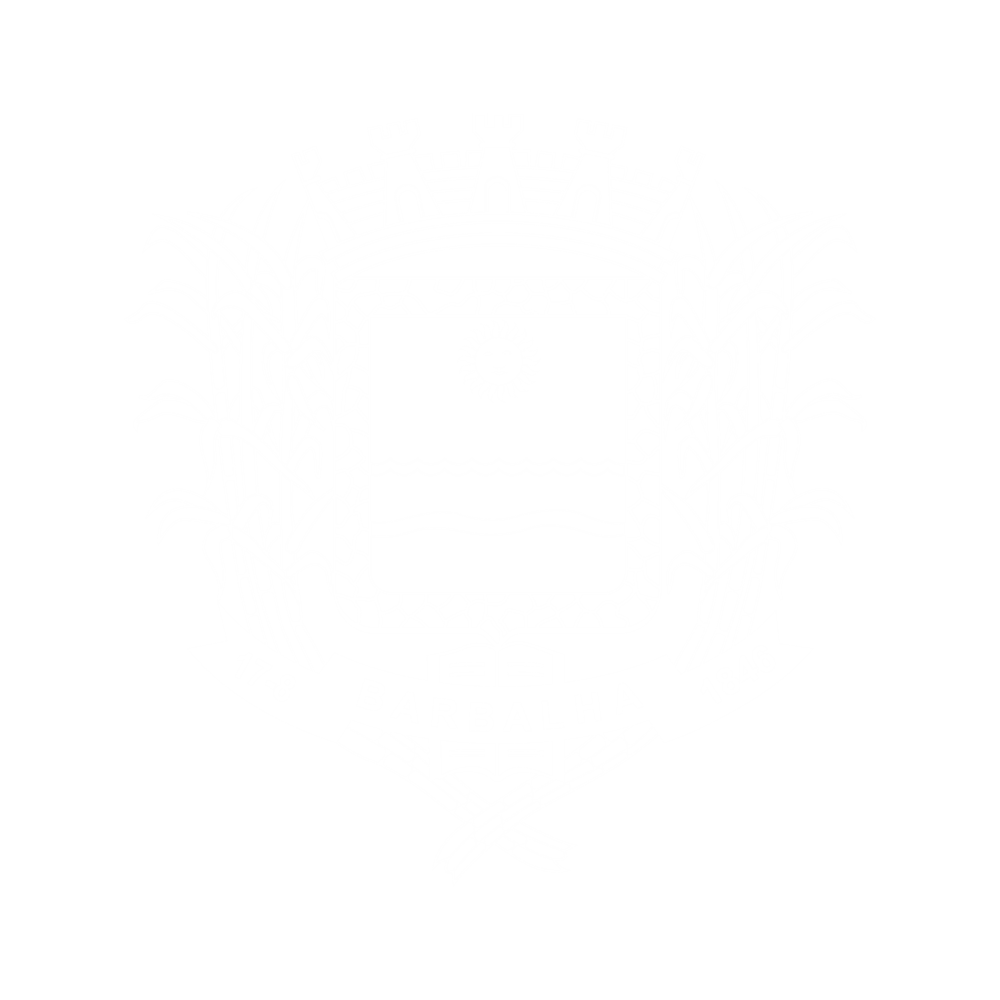 logo_camara