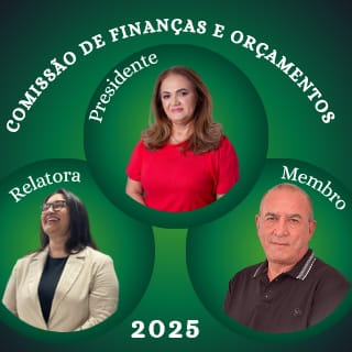 CFO - COMISSÃO FINANÇAS E ORÇAMENTO