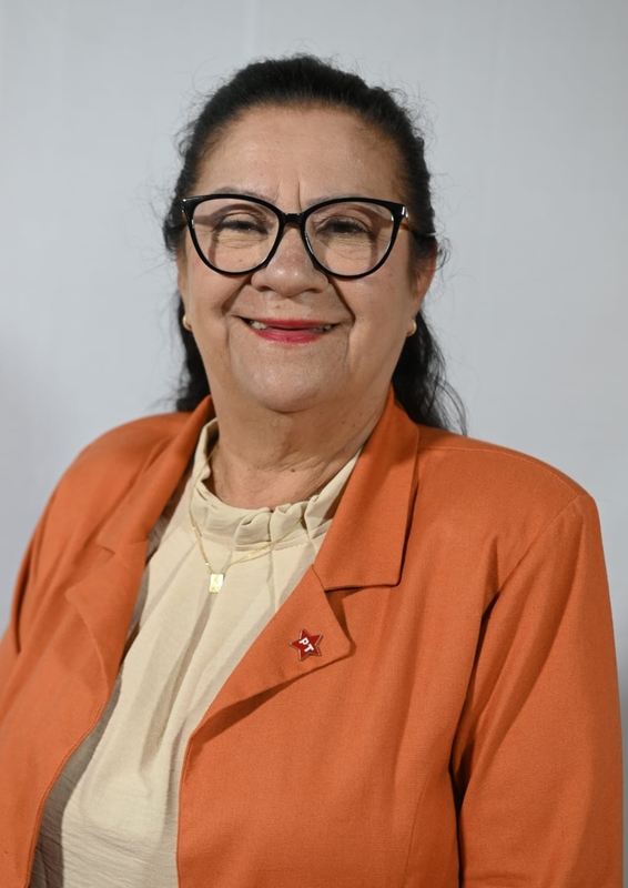 MARIA DE LOURDES PINHEIRO TELES